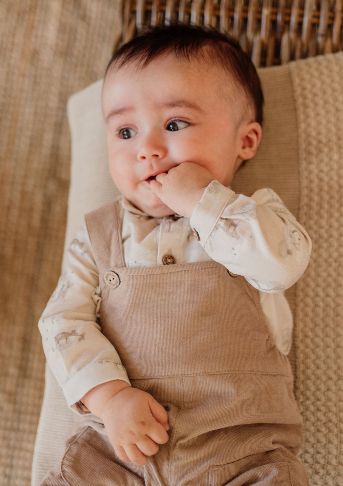 Corduroy shirt with forest animals | BUNNY AND FRIENDS - WEDOBLE
