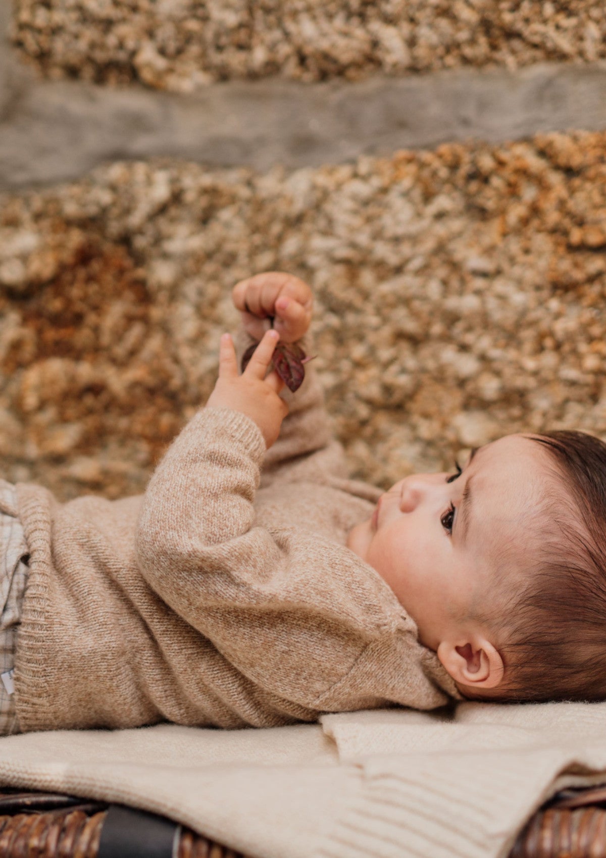Knitted merino wool sweater | LITTLE TEDDY BEAR - WEDOBLE